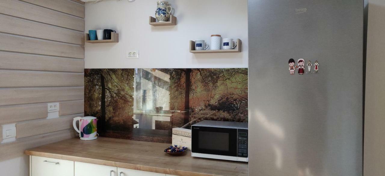 Modern And Cozy Apartment Piteşti Exteriör bild