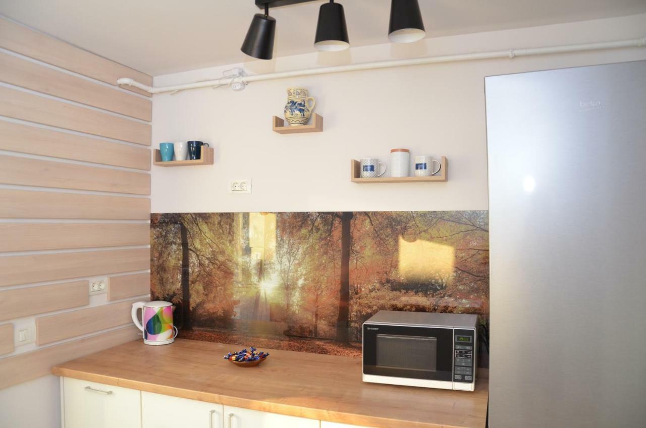 Modern And Cozy Apartment Piteşti Exteriör bild